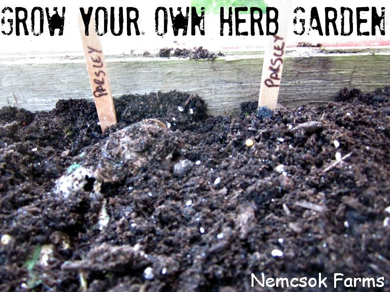 Growing your own herb garden can be harder than it looks! Check out these tips to keep your herb garden thriving