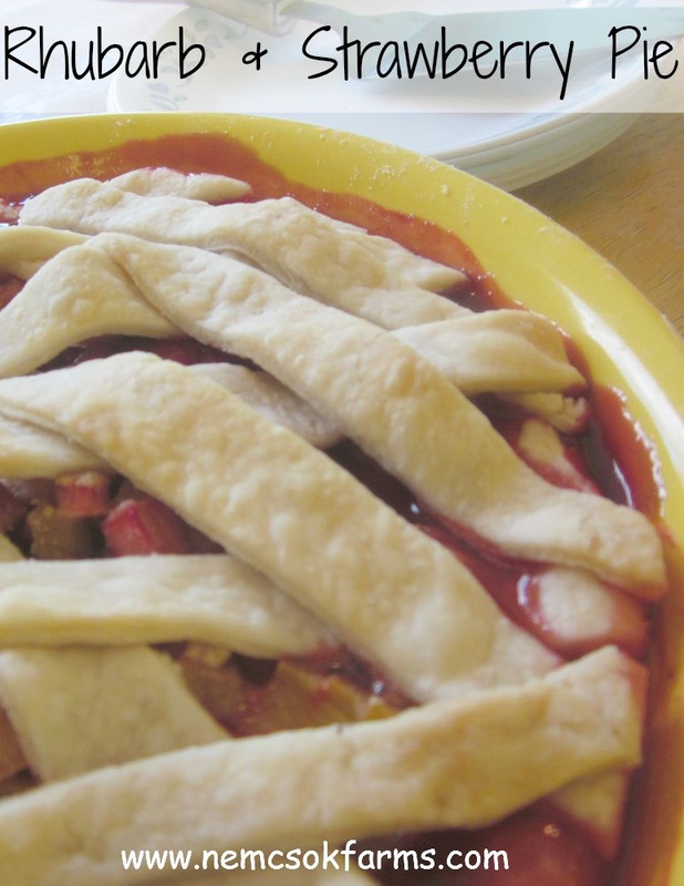 Rhubarb & Strawberry Pie is the perfect way to enjoy your fresh rhubarb.