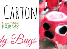 Super Cute Lady Bug Kids' Craft made of recycled egg cartons