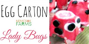 Super Cute Lady Bug Kids' Craft made of recycled egg cartons