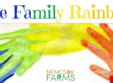 Family Day Art Project Handprint Rainbows