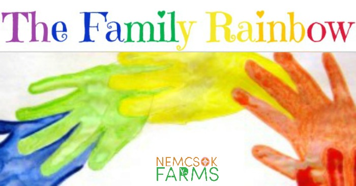 Family Day Art Project Handprint Rainbows