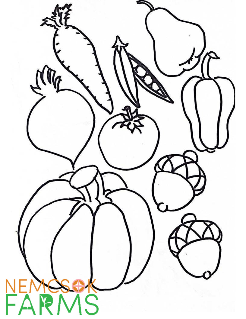 Printable Cornucopia Template DocTemplates