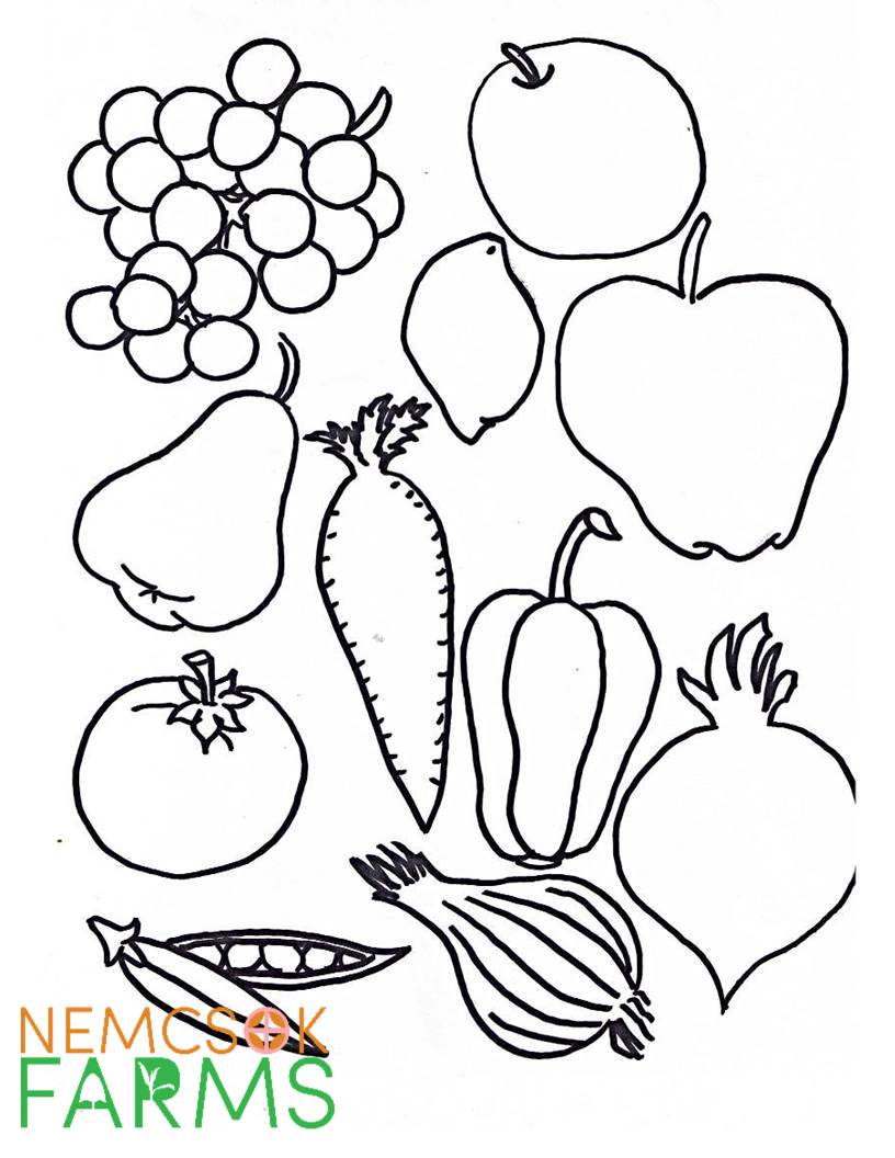 Horn of Plenty Cornucopia Craft for Kids ( and adults!) for Thanksgiving. With printable template ready to colour, cut and paste!