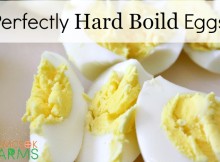 Perfectly Hard Boiled Eggs Don't Smell