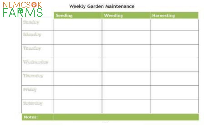 Weekly Garden Maintenance Planner