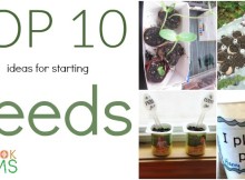 Top Ten Seed Starting Ideas