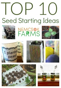 Top Ten Seed Starting Ideas