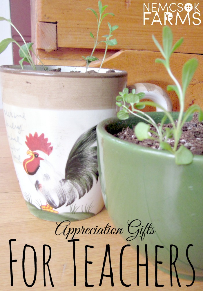 Thoughtful and Beautiful DIY Appreciation Gifts for Teachers