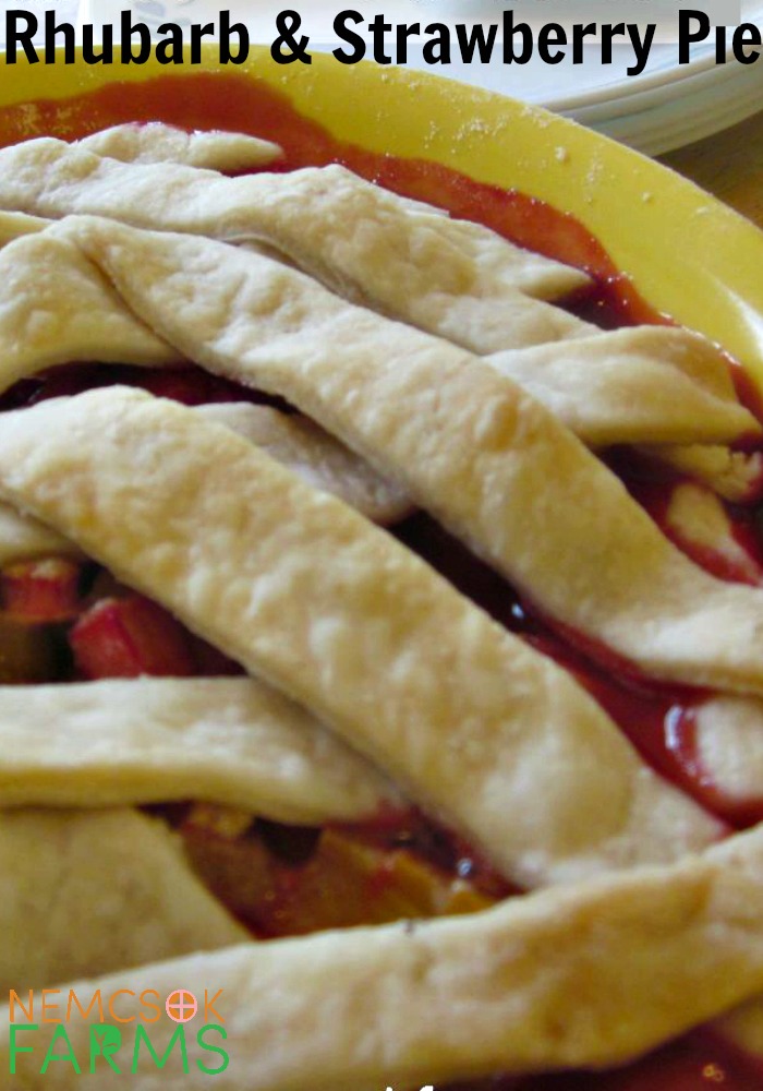 Fresh Rhubarb and Strawberry Pie With a Beautiful Lattice Top Crust