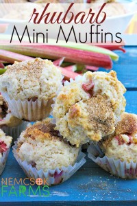 Mini Muffins made with fresh rhubarb and topped with cinnamon sugar make a great snack, and are super tasty!