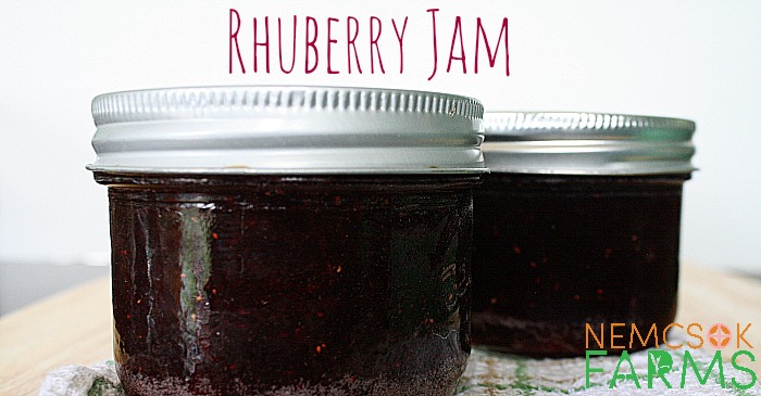 Homemade Rhuberry Jam Preserved rhubarb and strawberries together in this deliciously sweet homemade jam