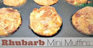 Rhubarb Mini Muffins perfect for snacking, a light dessert and even breakfast!