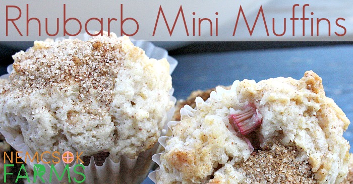 Mini Muffins made with fresh rhubarb and topped with cinnamon sugar make a great snack, and are super tasty!