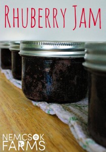 Homemade Rhuberry Jam Preserved rhubarb and strawberries together in this deliciously sweet homemade jam