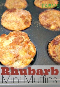 Rhubarb Mini Muffins perfect for snacking, a light dessert and even breakfast!