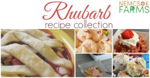Rhubarb Recipe Collection