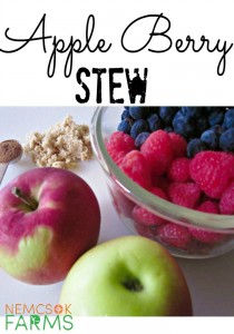 Apple Berry Stew Perfect for Healthy Snacking and oh so easy to make