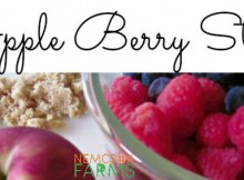 Apple Berry Stew Perfect for Healthy Snacking