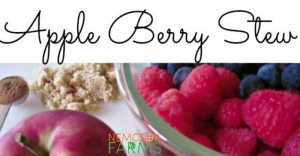 Apple Berry Stew Perfect for Healthy Snacking
