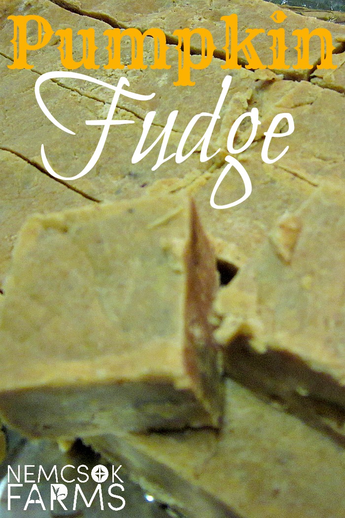Rich Creamy Fudge made with Fresh Pumpkin Puree perfect for gift giving or indulging. Like a whole lot of pumpkin pie stuffed into one tiny piece of fudge
