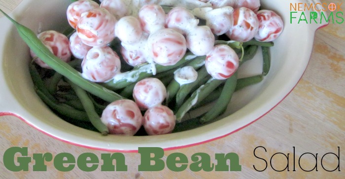 Grean Bean Salad with Cherry Tomatoes fresh from the Garden Recipe