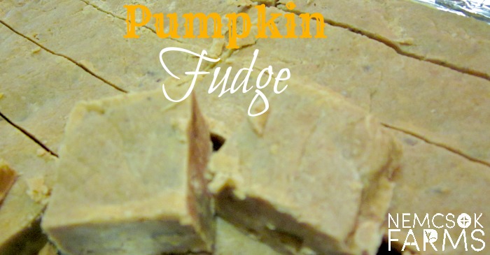 Fresh Pumpkin Fudge post thumbnail image