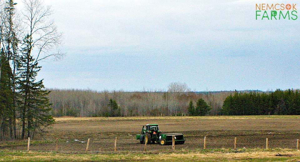 Nemcsok Farms is a family owned and operated by Evelyne and Michael Nemcsok, and is located 20 km north of Englehart, Ontario, Canada. Our farm consists of 200 + acres that includes woodlot, fields, a sand pit, some wetlands, a vegetable garden, flower beds and gardens, some rocky outcrops, and a nice yard for us to enjoy also. We produce forage and grain crops, vegetables, plants, flowers, firewood and custom plowing, cultivating, seeding and more.