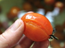 How To Blanche Tomatoes Garden Fresh Food Prepared Easy