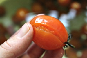 How To Blanche Tomatoes Garden Fresh Food Prepared Easy
