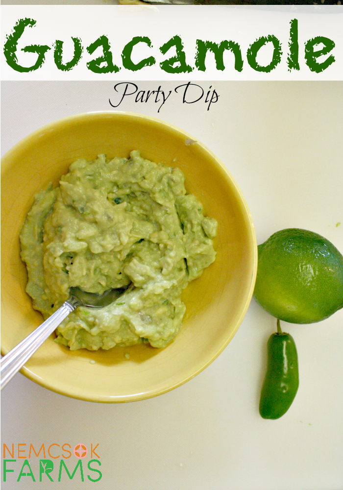 Guacamole Party Dip Recipe Perfect for Entertaining and Healthy Snacking
