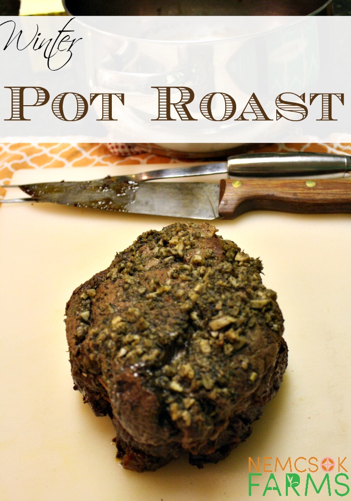Winter Pot Roast Main Course Recipe for Perfect Comfort Food