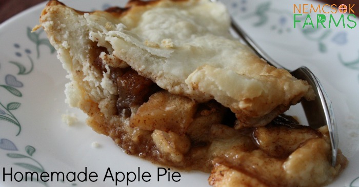 Homemade Apple Pie Recipe perfect any of time of year, super simple to make for every day dessert, and delightful enough to serve on special occassions
