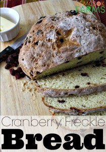 Cranberry 'Freckles' sweeten up this super easy soda bread and it's perfect for snacking, and just as special with a cup of coffee.