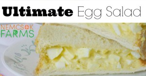 the Ultimage Egg Salad Sandwich