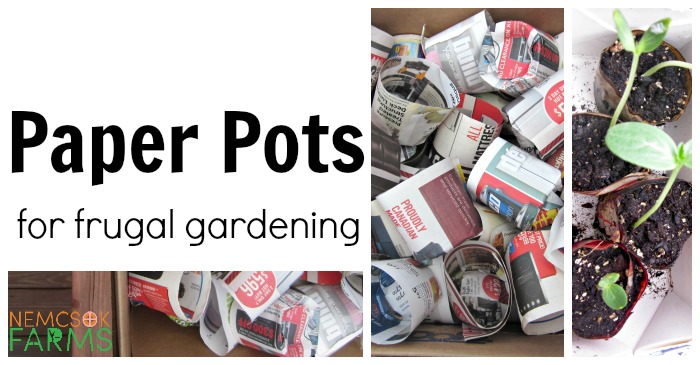 Start Your Seedlings on the Cheap with Paper Pots post thumbnail image