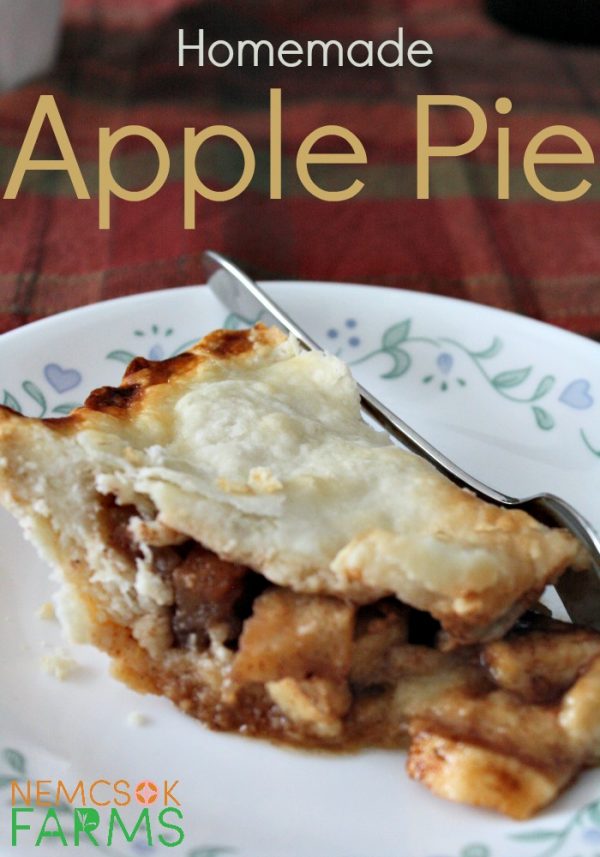 Homemade Apple Pie