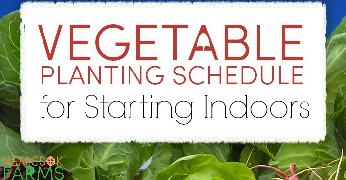 vegetable seed planting schedules