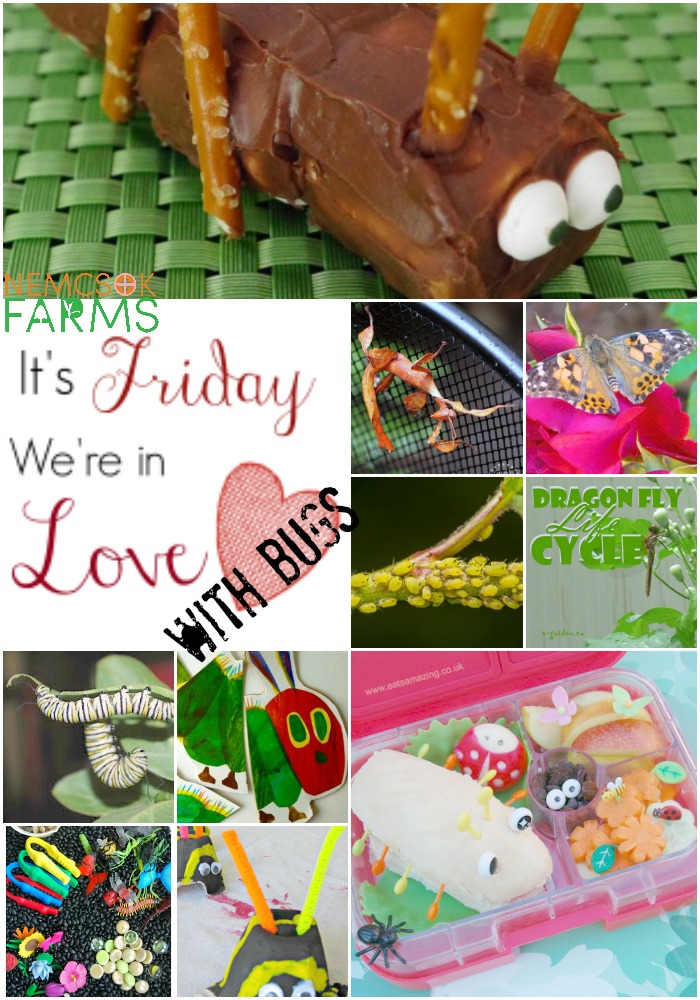 It's friday and we're in love with bug crafts, bug life, bug science, bug activities and all things bugs