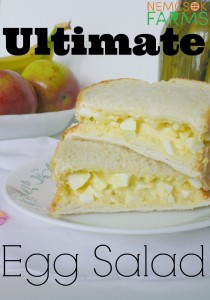 the Ultimage Egg Salad Sandwich