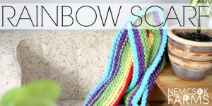 DIY hand knit super long scarf in a rainbow pattern