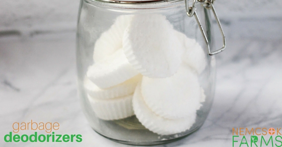 HOMEMADE CLEANERS, HEALTHY HOME: HOMEMADE GARBAGE DEODORIZER PUCKS post thumbnail image