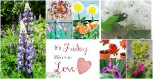 30 Plus Ways to Fall in Love With Flowers for your Garden, Your Craftroom, Classroom, and Your Lunchbox