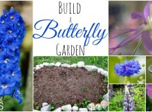 How To Build A Butterfly Garden with Flowers and Other Essentials for Butterflies