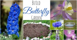 How To Build A Butterfly Garden with Flowers and Other Essentials for Butterflies