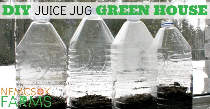 https://nemcsokfarms.com/wp-content/uploads/2016/03/DIY-Juice-Jug-Green-House.jpg