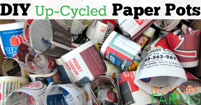 UpCycled Paper Pots post thumbnail image