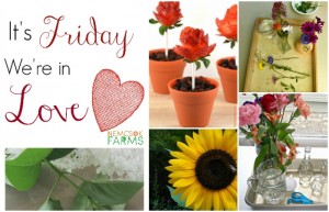 Flower themed Activities and Snacks