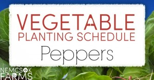 Vegetable Planting Guide for Tomatoes and Growing Tips for Fresh Garden Peppers
