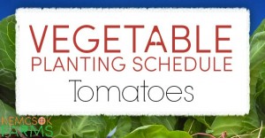 Vegetable Planting Guide for Tomatoes and Growing Tips for Fresh Garden Tomatoes